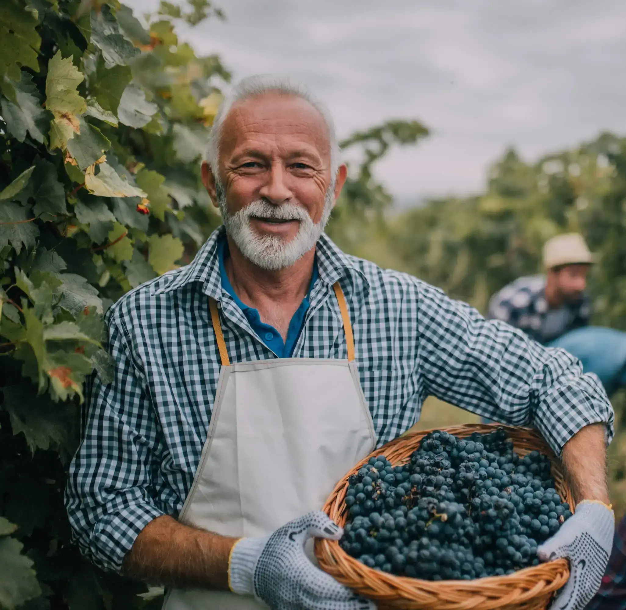 man-with-grapes